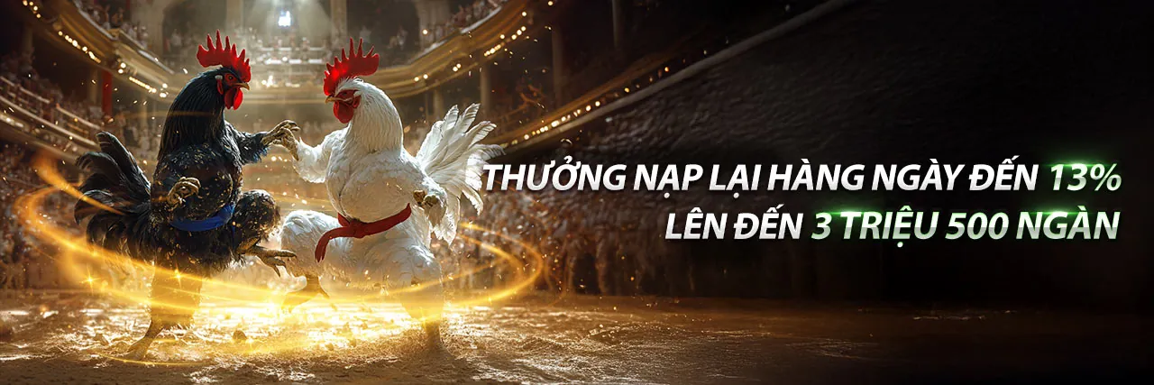 Hình ảnh gà tre đá giải Thomo mới nhất